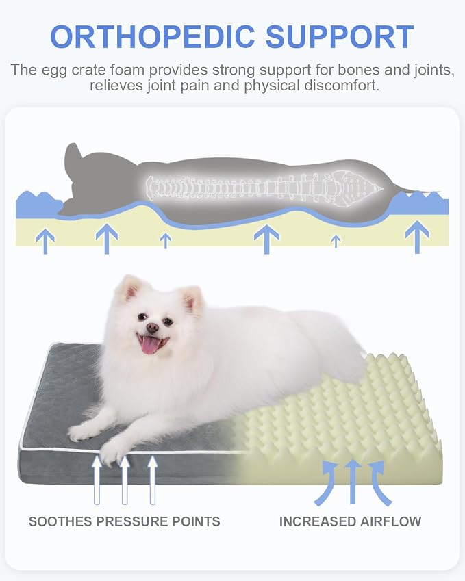 KSIIA Dog Bed for Crate Pad Waterproof for Small Dogs - Image 3