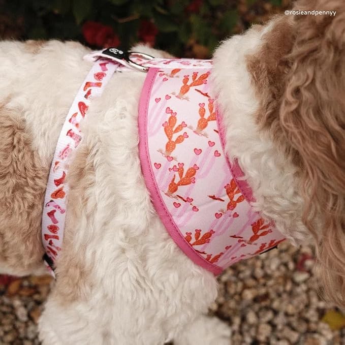 Lucy & Co. Cute Reversible Dog Harness Walking Halter - Image 5