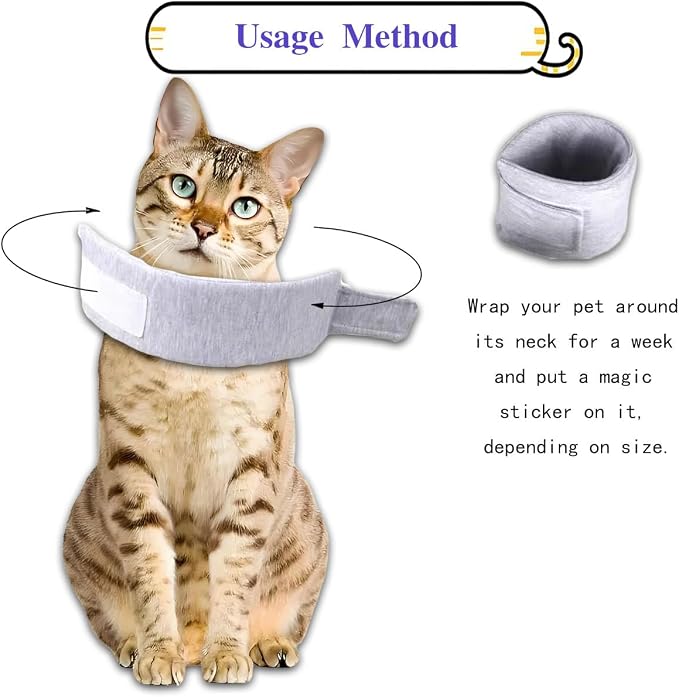 Cat Cone Collar for Pet with Spinal IVDD Issues After Surgery Recovery - Image 4