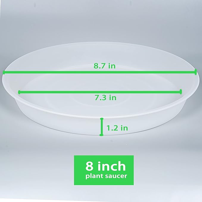 2 Pack of 8 inch Plant Saucer Clear, Heavy Duty Plastic Plant Water Tray 8 inch - Image 2