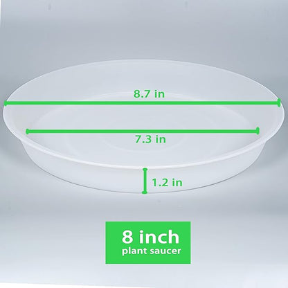 2 Pack of 8 inch Plant Saucer Clear, Heavy Duty Plastic Plant Water Tray 8 inch - Image 2