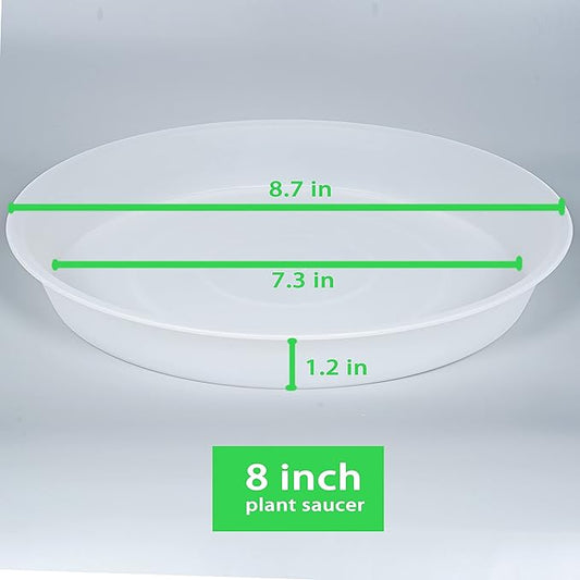 2 Pack of 8 inch Plant Saucer Clear, Heavy Duty Plastic Plant Water Tray 8 inch - Image 2