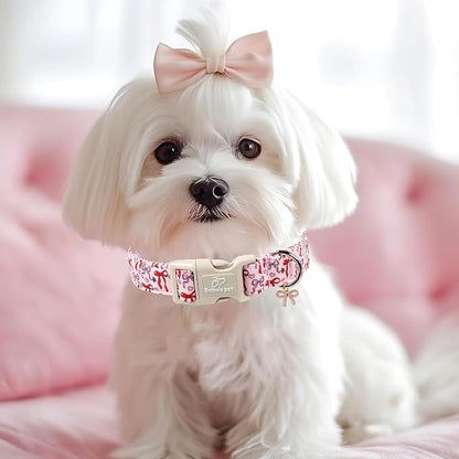 Girl Dog Collar for Large Dogs - Image 2