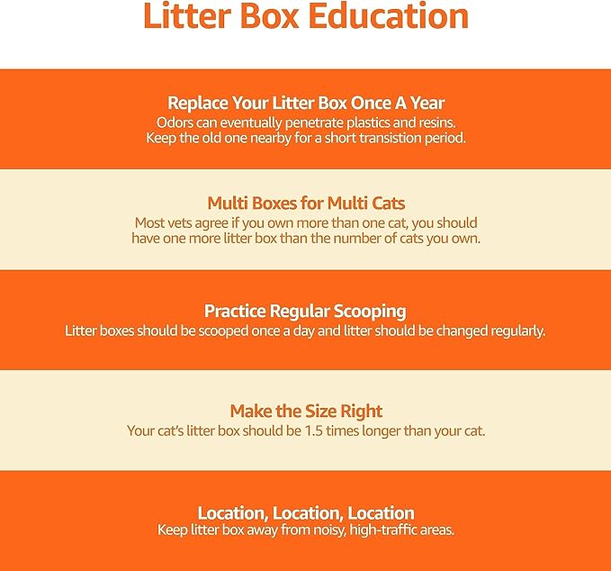 Amazon Basics Large Cat Litter Box - Image 10