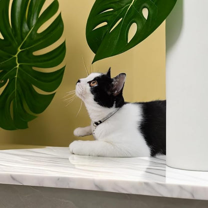 Rhinestone Cat Collar Breakaway Safety Buckle - Image 4