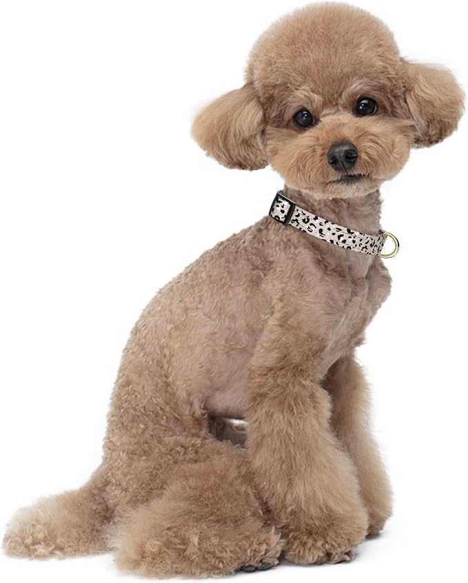 Reflective Dog Collar for Small Dogs, Cute Leopard Style Adjustable Heavy-Duty - Image 2
