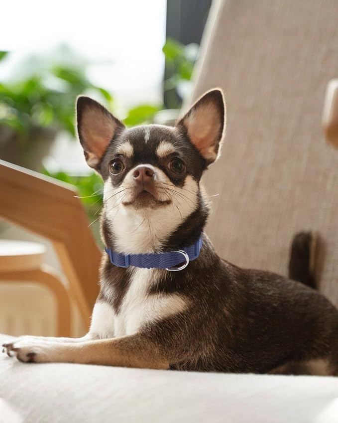 Dynmeow Soft and Breathable Cotton Dog Collar, Durable Adjustable Pet Collar - Image 6