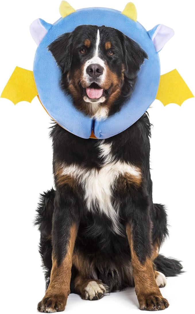 IEUUMLER Inflatable Recovery Dog Collar, Protective Donut Cone, Adjustable Soft by IEUUMLER