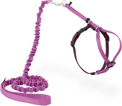 PetSafe Come With Me Kitty Cat Harness & Bungee Leash by PetSafe
