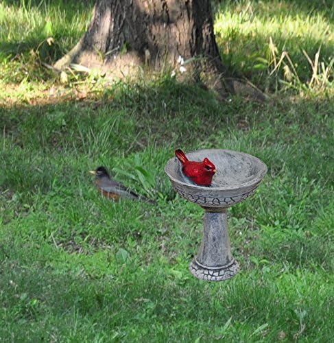G & F Products MiniGardenn Cardinal Birdbath Pick, 2.25" Polyresin Miniature - Image 4