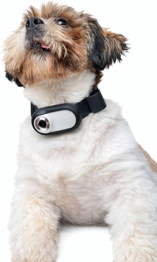 Mini Dog Collar Camera 1080P – Records to Micro SD Card – No Live Streaming – - Image 6