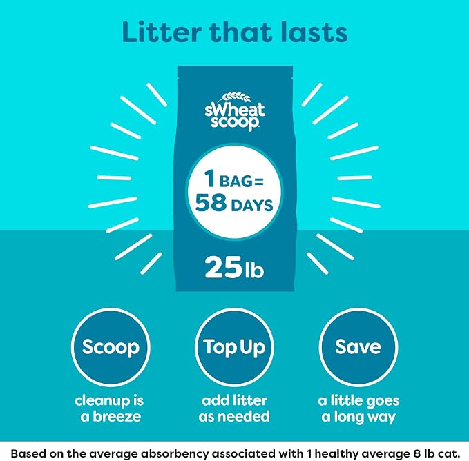 sWheat Scoop Natural Wheat Cat Litter, Fast Clumping - Image 6