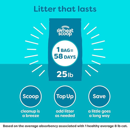 sWheat Scoop Natural Wheat Cat Litter, Fast Clumping - Image 6