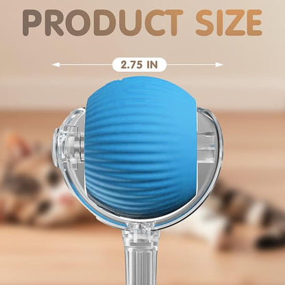 Rocfish Durable Interactive Cat Toys - Image 9