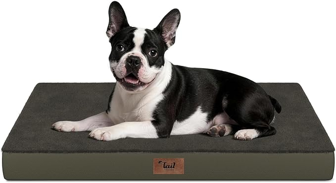 Plush Orthopedic Dog Bed for Medium Dogs & Puppies, Waterproof Dog Beds 29x18 by TailStories