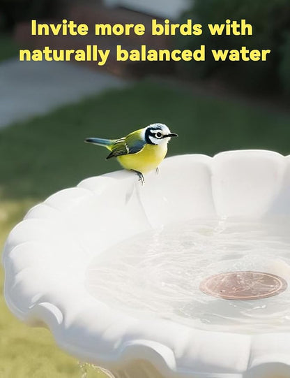 CNARIO Copper Disk for Bird Baths, Bird Baths 99.99% Pure Copper Cleaning Disk - Image 6