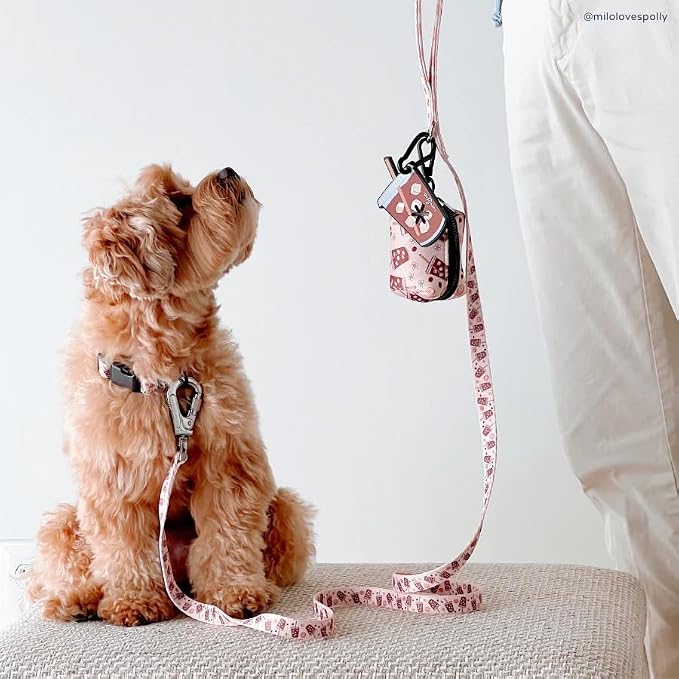 Lucy & Co. Dog Collar - Image 5