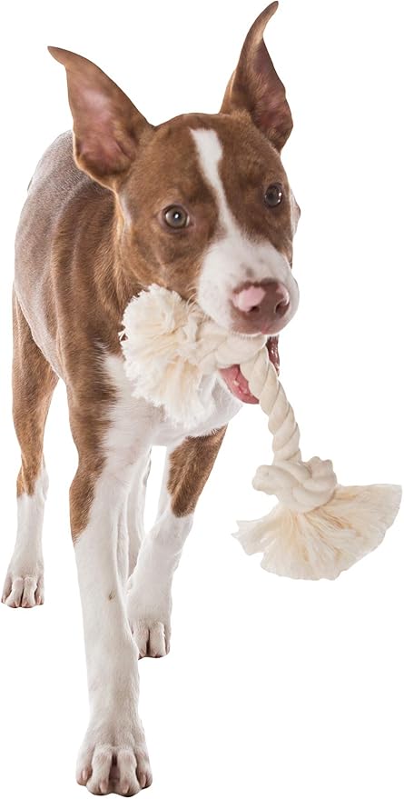 Mammoth Pet Products Dog, Flossy Chews 100-Percent Cotton White Rope Bone - Image 3