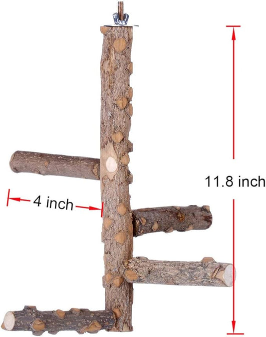 Bird Perch Nature Wood Stand for 3-4pcs Small Medium Parrots - Image 2