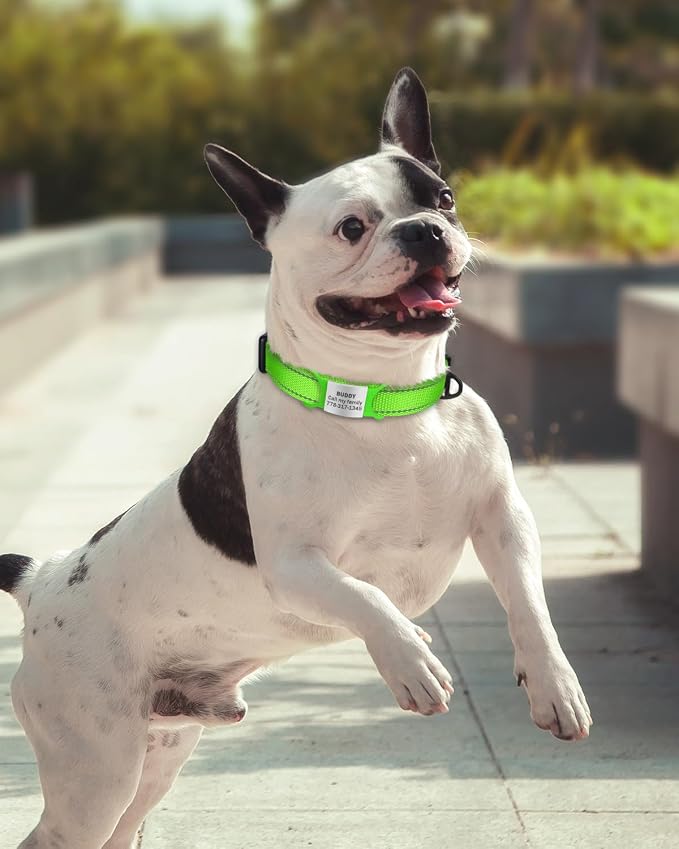 TagME Small Dog Collars, Adjustable Reflective Nylon Pet Collar - Image 2