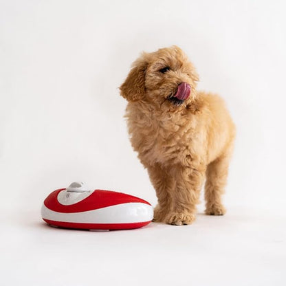 Filtered Portable Dog Water Dispenser, 1L / 34oz, Automatic Pet Water Dispenser - Image 8
