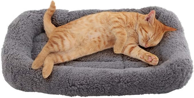 Enjoying Cat Mat Bed 10" x 15" Pet Bed by Enjoying