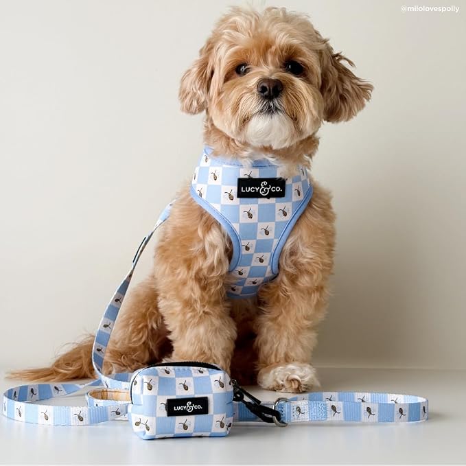 Lucy & Co. Bumbling Around Reversible Dog Harness, Adjustable Comfort Fit - Image 5