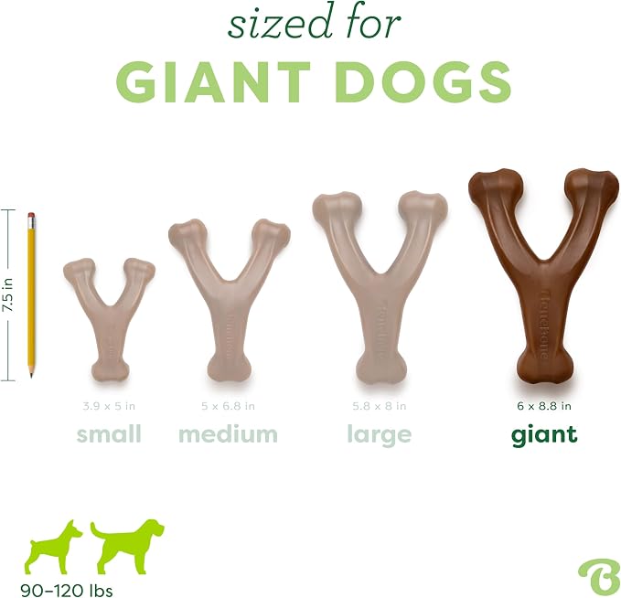 Benebone Wishbone Durable Dog Chew Toy - Image 4