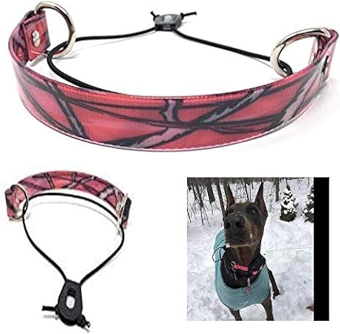 Sparky Pet Co - ECollar Replacement Strap - Bungee Dog Collar - Waterproof - by SparkyPetCo