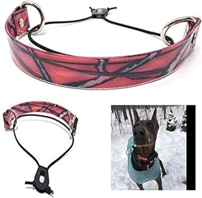 Sparky Pet Co - ECollar Replacement Strap - Bungee Dog Collar - Waterproof - by SparkyPetCo