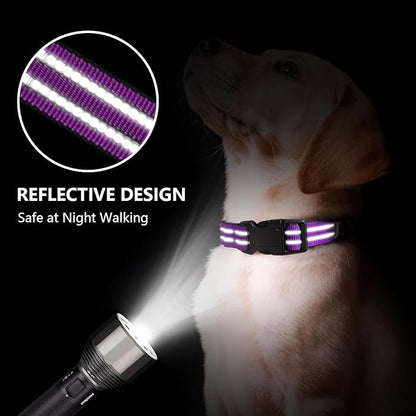 Martingale Dog Collar, Adjustable Nylon Reflective Collar - Image 2