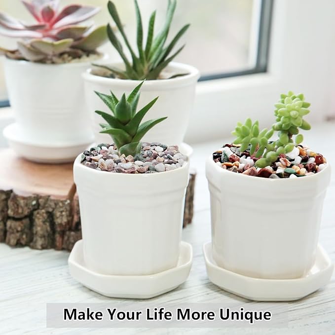 5LB Succulent and Cactus Gravel Pebbles, 1/5 Inch Natural Decorative Polished - Image 5