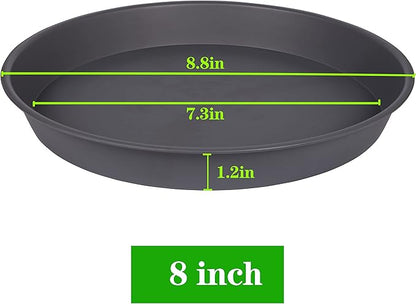 2 Pack of 8 inch Plant Saucer Clear, Heavy Duty Plastic Plant Water Tray 8 inch - Image 2