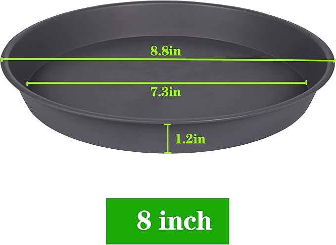 6 Pack of 7 8 inch Plant Saucer, Heavy Duty Plastic Plant Water Tray 8 inch - Image 2