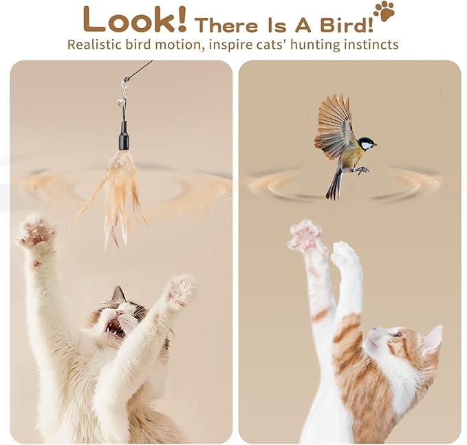 Pawaboo Feather Teaser Cat Toy - Image 4