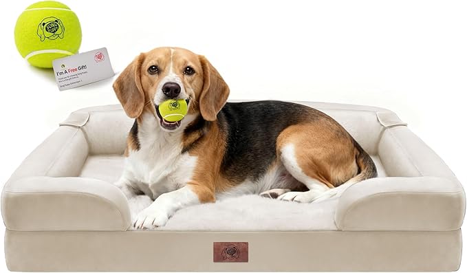 Orthopedic Dog Beds for Large Medium Dogs, Big Waterproof Memory Foam Pet Couch - Image 8