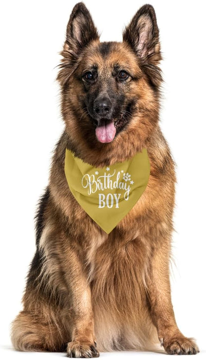 Birthday Boy Dog Bandanas, Dog Birthday Bandana, Birthday Bandana - Image 3