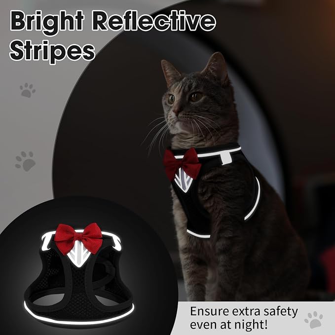 Cat Vest Harness and Leash Set for Walking Escape Proof, Adjustable Kitten - Image 7