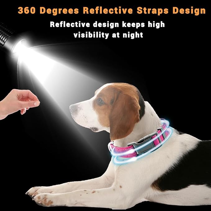 2 Pack Reflective Dog Collar - Image 4