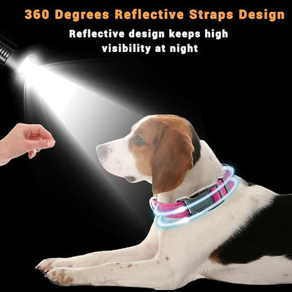 2 Pack Reflective Dog Collar - Image 4