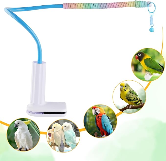 Bird Perch Stand, Bendable Desktop Parrot Training Stand - Image 7