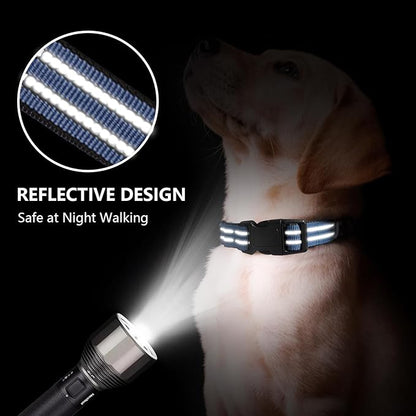 Martingale Dog Collar, Adjustable Nylon Reflective Collar - Image 2
