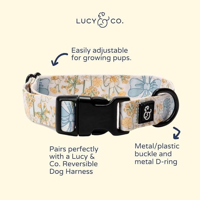 Lucy & Co. Sunshine and Daffodils Dog Collar, Adjustable Durable Dog Collar - Image 2