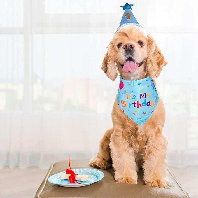 Dog Birthday Party Supplies, Dog Birthday Bandana Set, Dog Boy Girl Birthday - Image 6