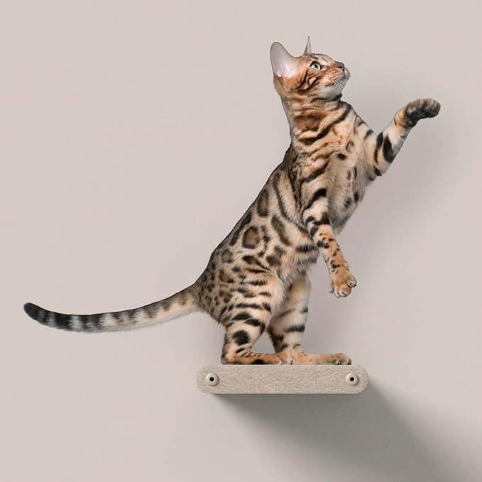 Wall Mounted Cat Steps Short Shelves by Pryde Pets by PrydePets