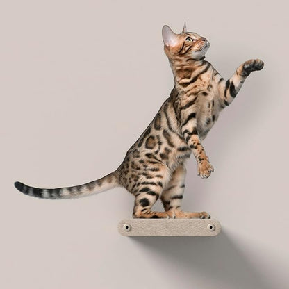 Wall Mounted Cat Steps Short Shelves by Pryde Pets by PrydePets