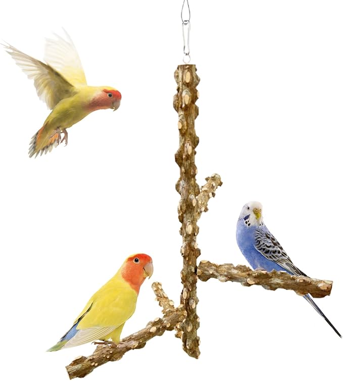 FlidRunest Bird Perch, Hanging Bird Tree Ceiling Perch Swing Toy, Natural by FlidRunest