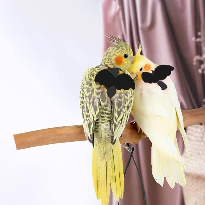 Dnoifne Pet Parrot Bird Harness and Leash, Adjustable Training Design Anti-Bite - Image 3