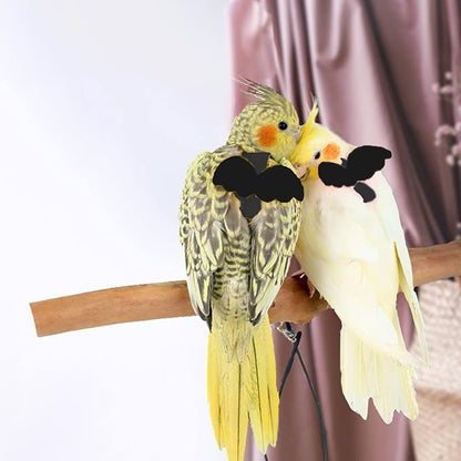Dnoifne Pet Parrot Bird Harness and Leash, Adjustable Training Design Anti-Bite - Image 3