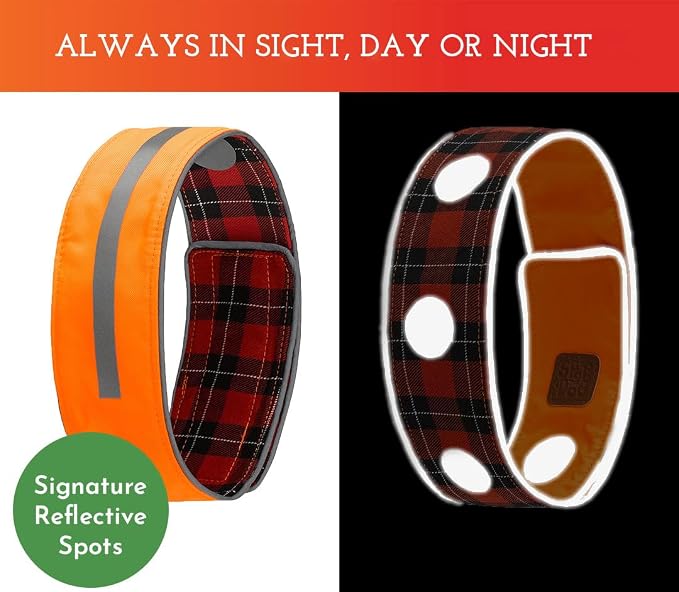 SPOT THE DOG! Reflective Dog Collar - Image 2